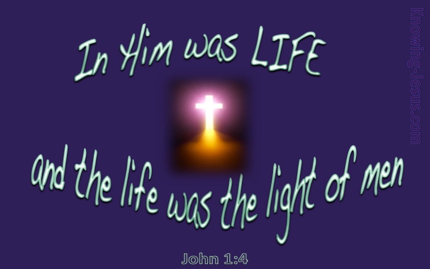 John 1:4 In Him Was Life (purple)